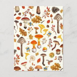 Wild mushrooms on off white postcard