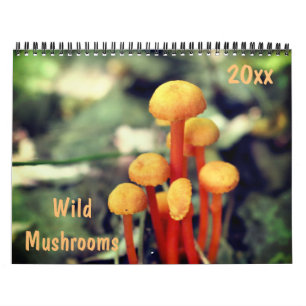 Wild Mushrooms Photography  Calendar