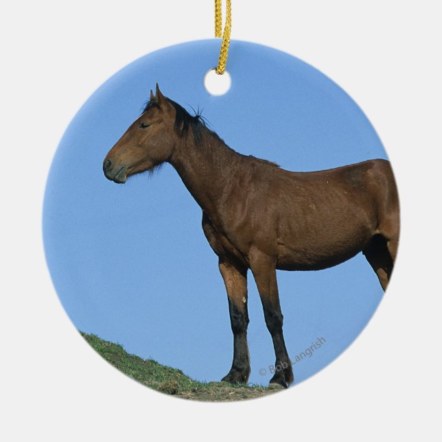 Wild Mustang Horse Ceramic Tree Decoration (Front)