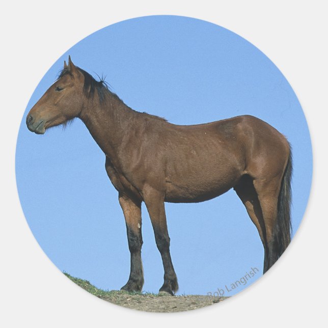 Wild Mustang Horse Classic Round Sticker (Front)