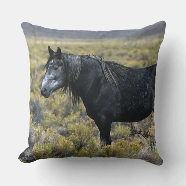 Wild Mustang Horse in the Desert Cushion (Front)