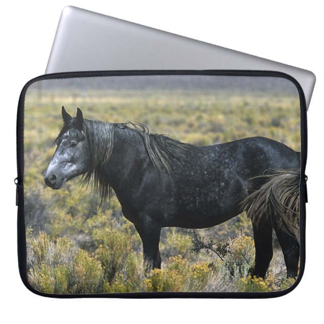 Wild Mustang Horse in the Desert Laptop Sleeve (Front)