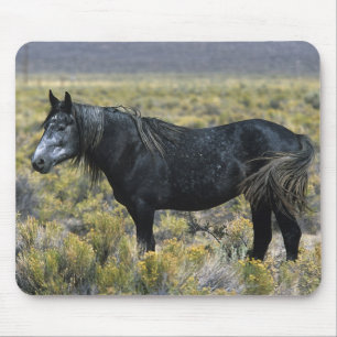 Wild Mustang Horse in the Desert Mouse Mat