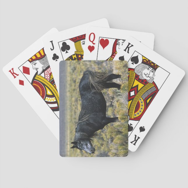 Wild Mustang Horse in the Desert Playing Cards (Back)