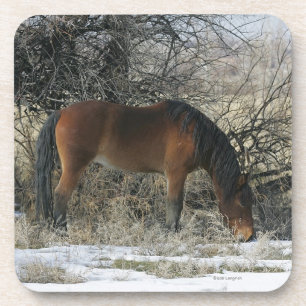 Wild Mustang Horse in the Snow 1 Coaster