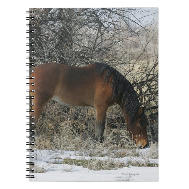 Wild Mustang Horse in the Snow 1 Notebook (Front)
