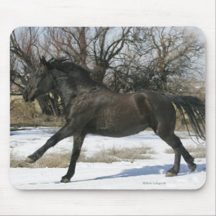 Wild Mustang Horse in the Snow 2 Mouse Mat
