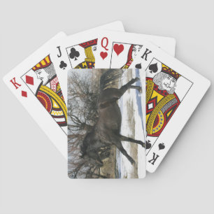 Wild Mustang Horse in the Snow 2 Playing Cards