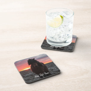 Wild Mustang Horse in the Sunset Coaster