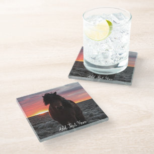 Wild Mustang Horse in the Sunset Glass Coaster