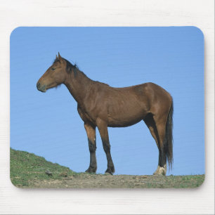 Wild Mustang Horse Mouse Mat