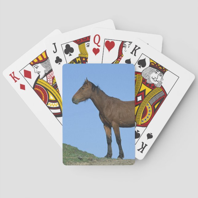Wild Mustang Horse Playing Cards (Back)