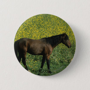 Wild Mustang Horse Standing in Flowers 6 Cm Round Badge