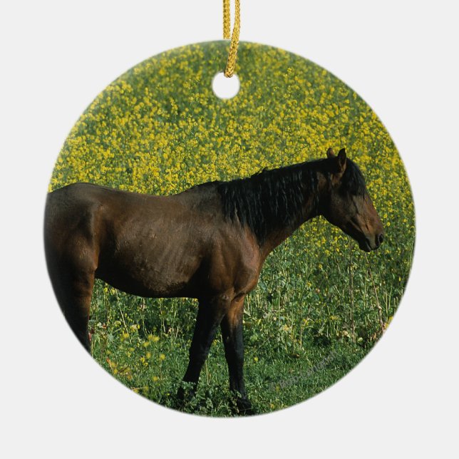 Wild Mustang Horse Standing in Flowers Ceramic Tree Decoration (Front)
