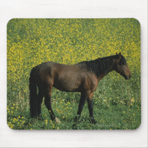 Wild Mustang Horse Standing in Flowers Mouse Mat