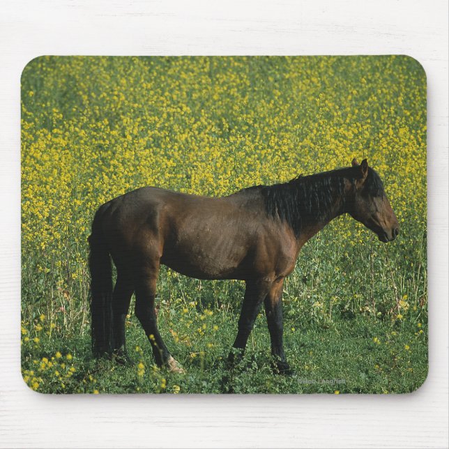 Wild Mustang Horse Standing in Flowers Mouse Mat (Front)