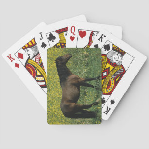 Wild Mustang Horse Standing in Flowers Playing Cards