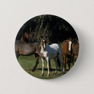 Wild Mustang Horses 1 6 Cm Round Badge