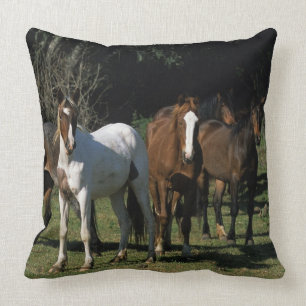Wild Mustang Horses 1 Cushion