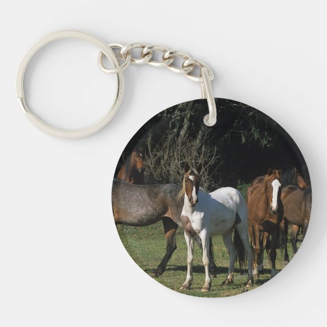 Wild Mustang Horses 1 Key Ring (Front)