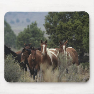 Wild Mustang Horses 2 Mouse Mat