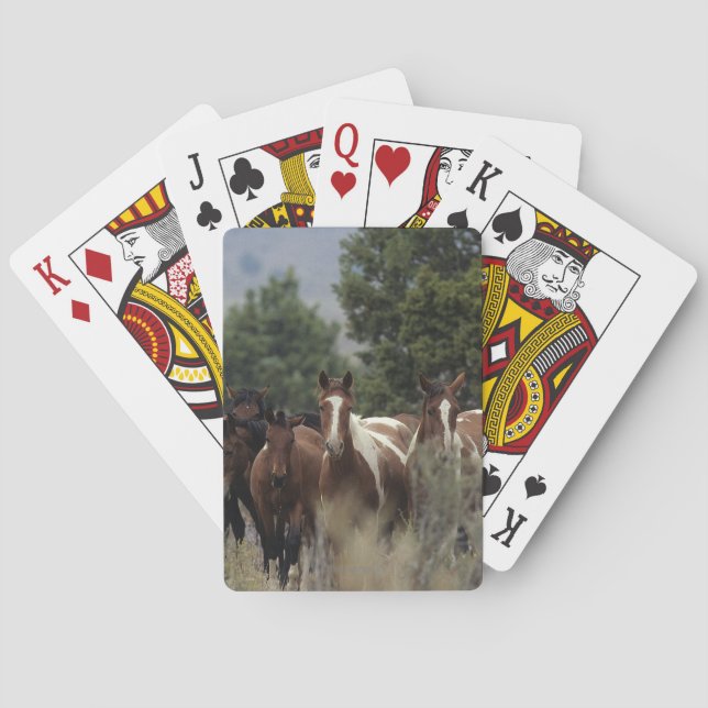 Wild Mustang Horses 2 Playing Cards (Back)