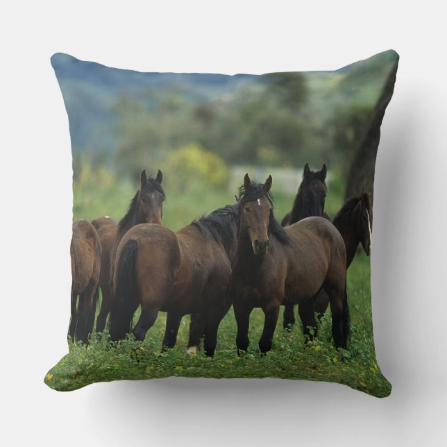 Wild Mustang Horses 3 Cushion (Front)
