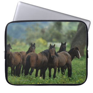 Wild Mustang Horses 3 Laptop Sleeve