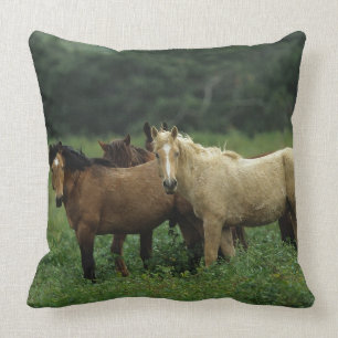 Wild Mustang Horses 4 Cushion