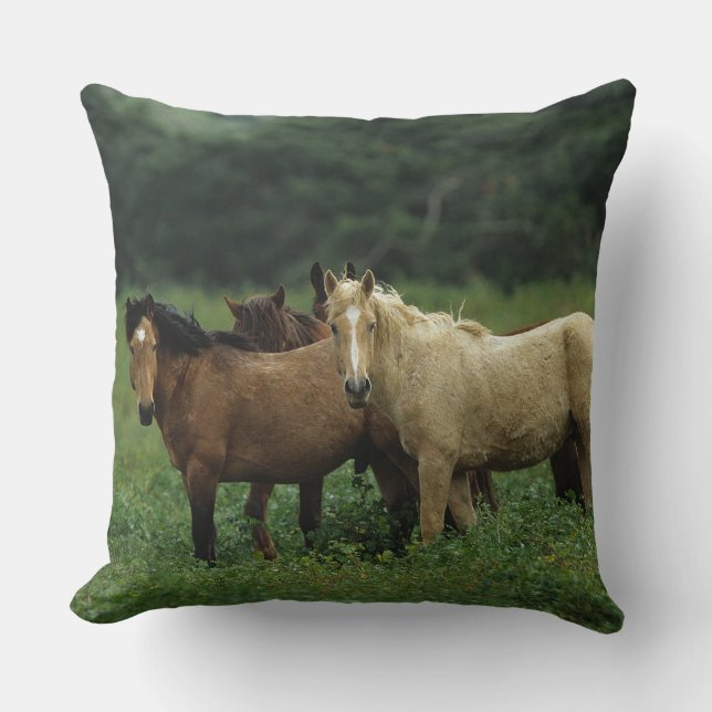 Wild Mustang Horses 4 Cushion (Front)