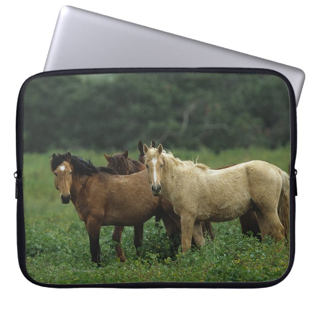 Wild Mustang Horses 4 Laptop Sleeve (Front)