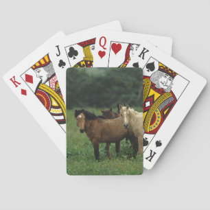 Wild Mustang Horses 4 Playing Cards