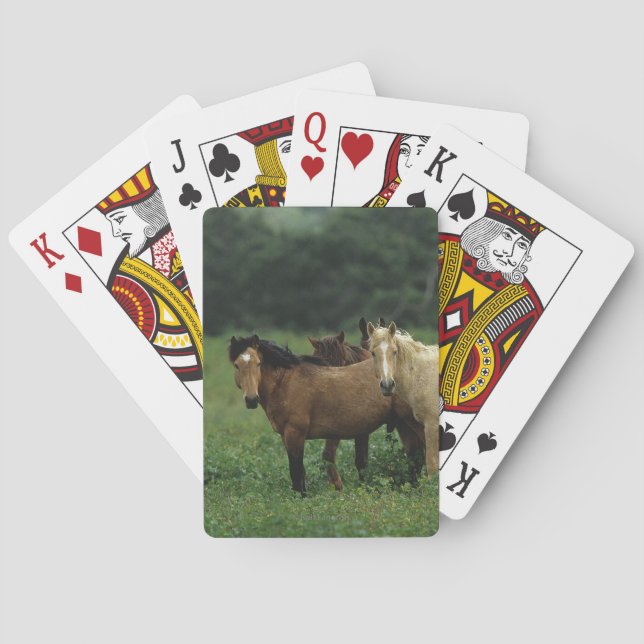 Wild Mustang Horses 4 Playing Cards (Back)