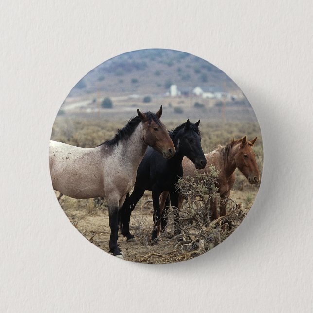 Wild Mustang Horses 5 6 Cm Round Badge (Front)