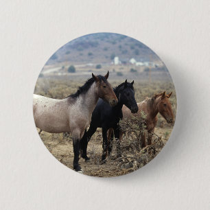 Wild Mustang Horses 5 6 Cm Round Badge
