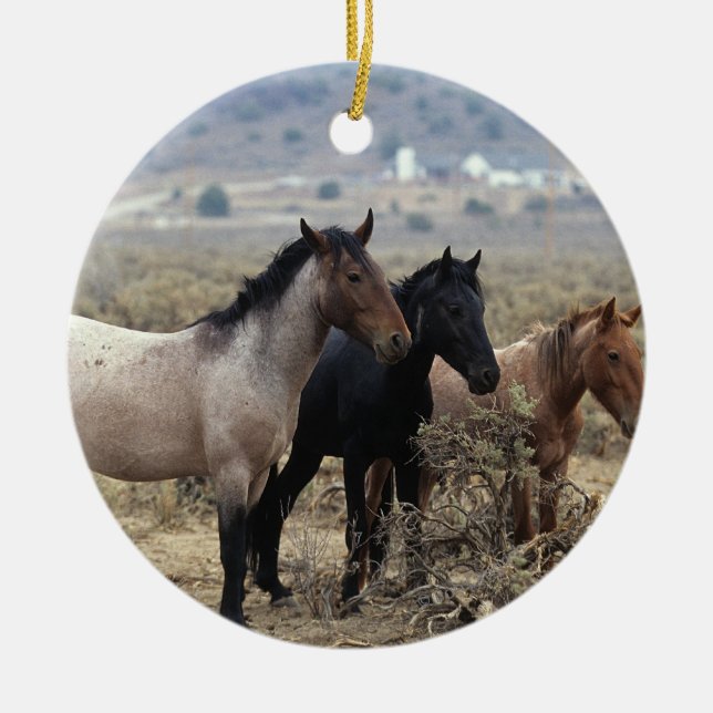 Wild Mustang Horses 5 Ceramic Tree Decoration (Front)