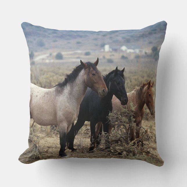 Wild Mustang Horses 5 Cushion (Front)