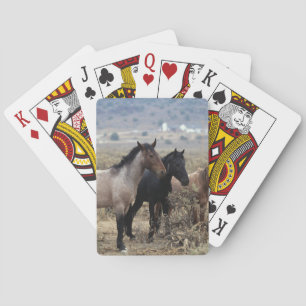 Wild Mustang Horses 5 Playing Cards