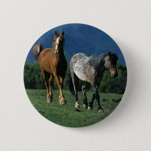Wild Mustang Horses 6 Cm Round Badge