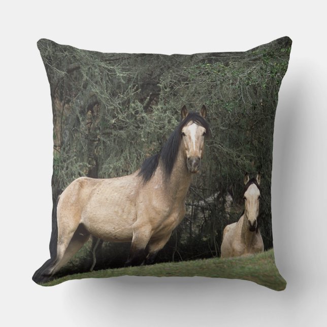 Wild Mustang Horses 6 Cushion (Front)