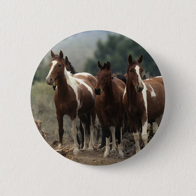 Wild Mustang Horses 7 6 Cm Round Badge (Front)