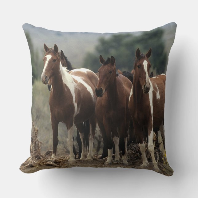 Wild Mustang Horses 7 Cushion (Front)