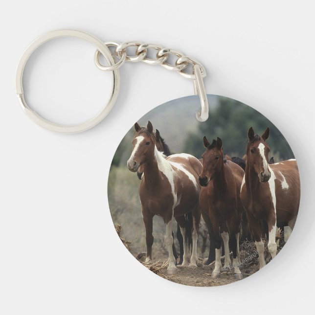 Wild Mustang Horses 7 Key Ring (Front)