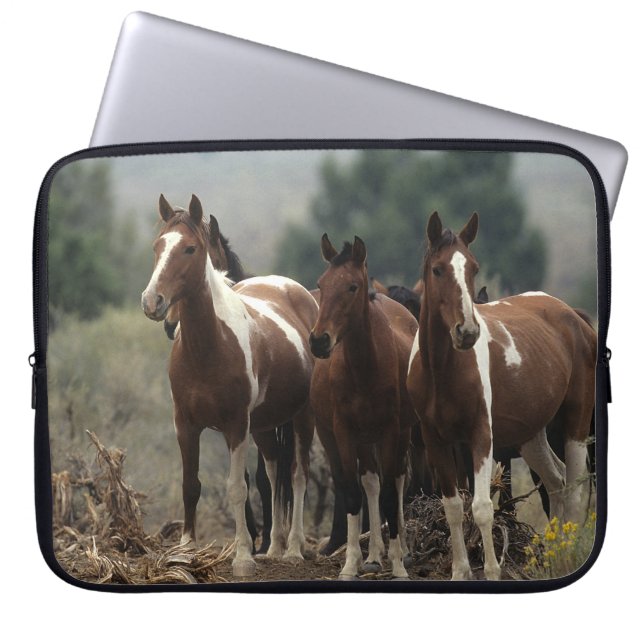 Wild Mustang Horses 7 Laptop Sleeve (Front)
