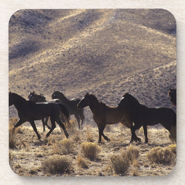 Wild Mustang Horses in the Desert 1 Coaster (Front)