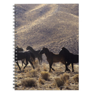 Wild Mustang Horses in the Desert 1 Notebook