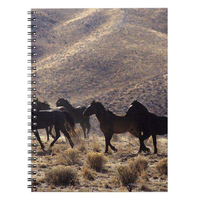 Wild Mustang Horses in the Desert 1 Notebook (Front)
