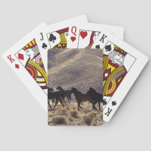 Wild Mustang Horses in the Desert 1 Playing Cards