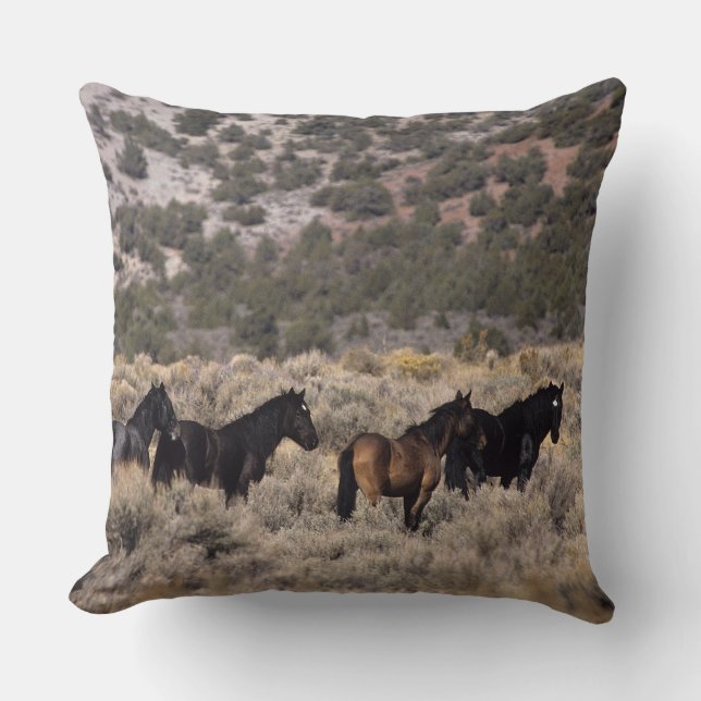 Wild Mustang Horses in the Desert 2 Cushion (Front)
