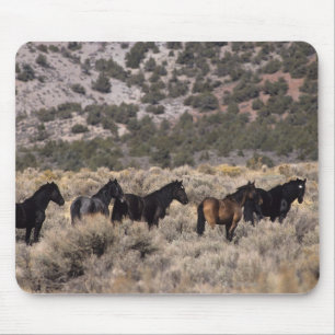 Wild Mustang Horses in the Desert 2 Mouse Mat